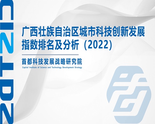 男女深夜操逼网站【成果发布】广西壮族自治区城市科技创新发展指数排名及分析（2022）